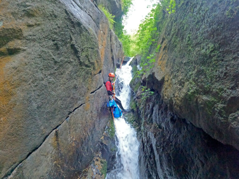 saut du chien pépite